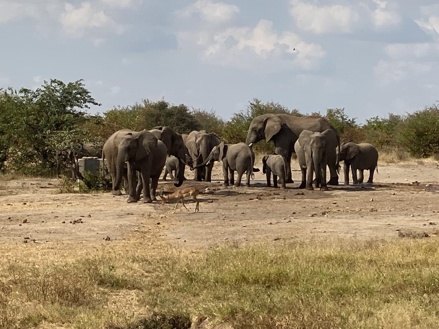 Africa/Botswana Adventure